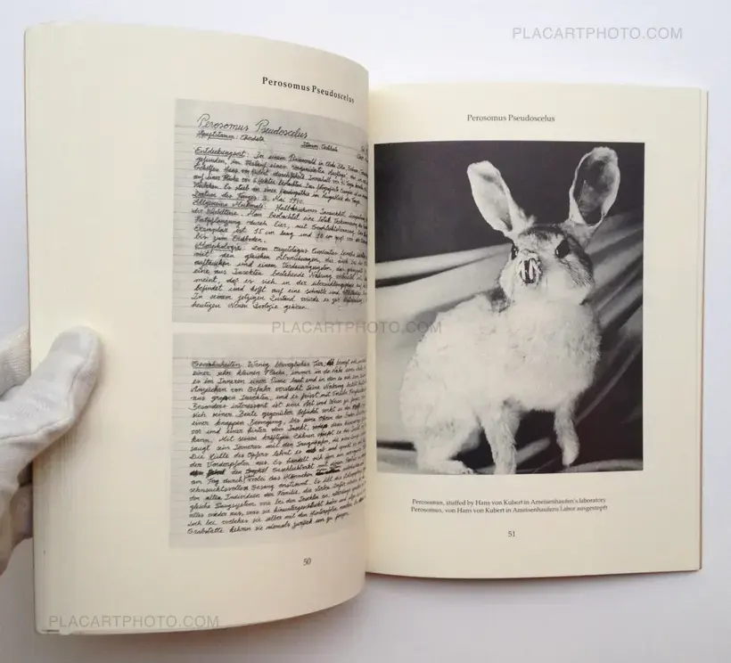 Dr. Ameisenhaufen's Fauna