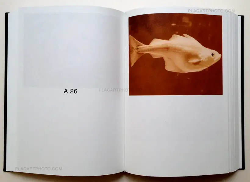 Nude Animal Cigar (signed)