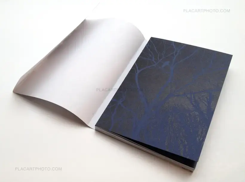 Gûyu - Allegory (SPECIAL EDITION WITH PRINT)