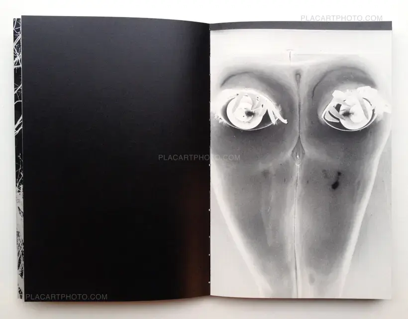 Gûyu - Allegory (SPECIAL EDITION WITH PRINT)