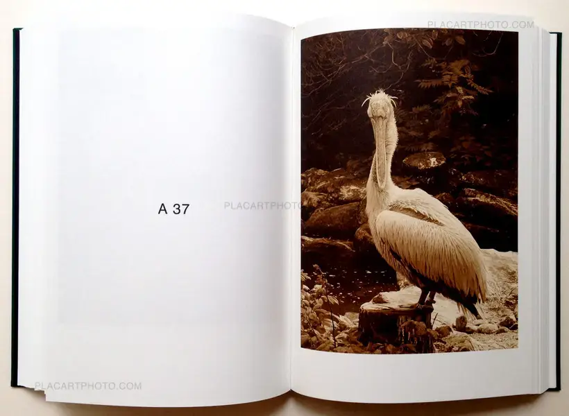 Nude Animal Cigar (signed)