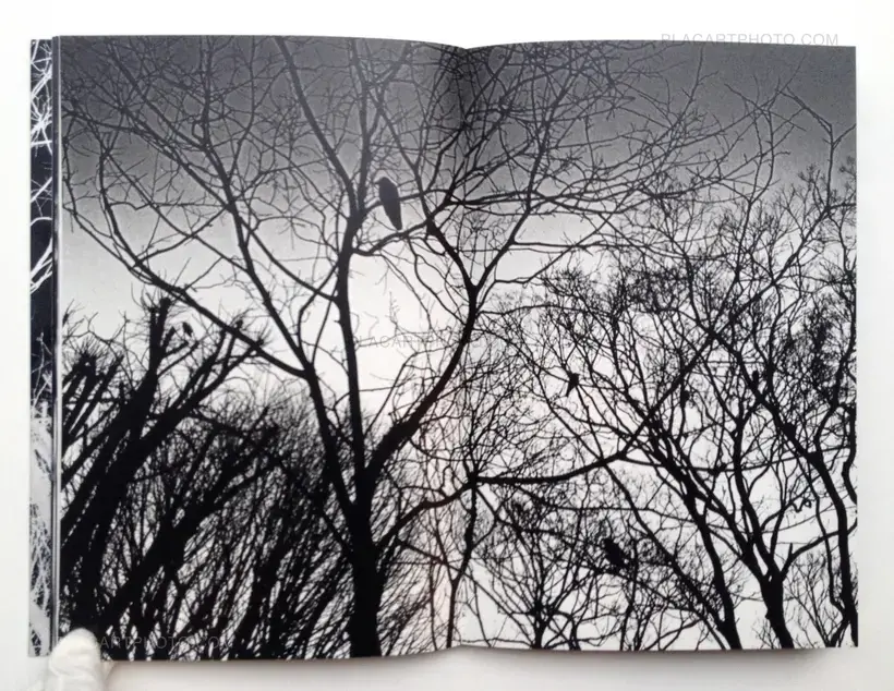 Gûyu - Allegory (SPECIAL EDITION WITH PRINT)