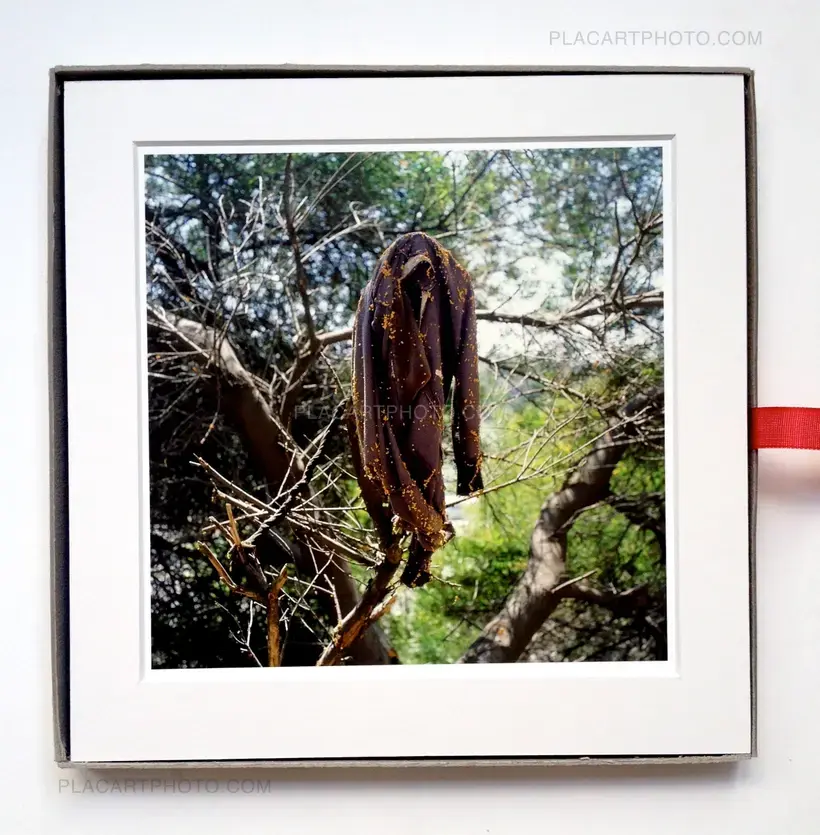 Landscapes for the Homeless (SPECIAL EDITION WITH PRINT)