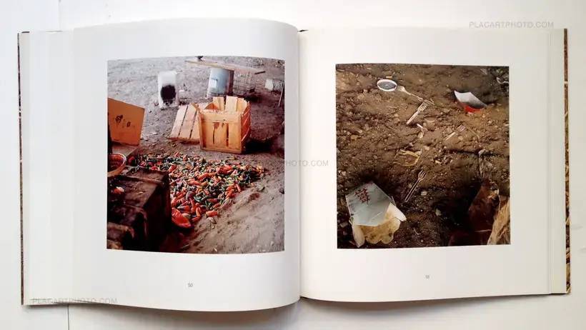 Landscapes for the Homeless (SPECIAL EDITION WITH PRINT)