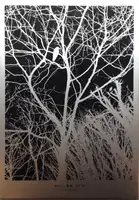 Gûyu - Allegory (SPECIAL EDITION WITH PRINT)