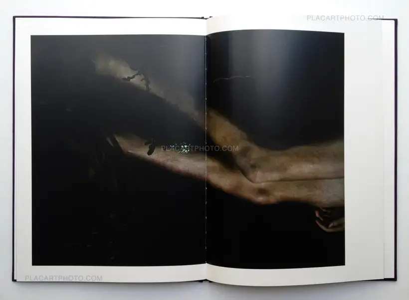 Bill Henson (SPECIAL EDITION WITH PRINT)