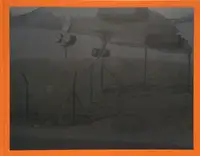 CDG (SPECIAL EDITION WITH PRINT)