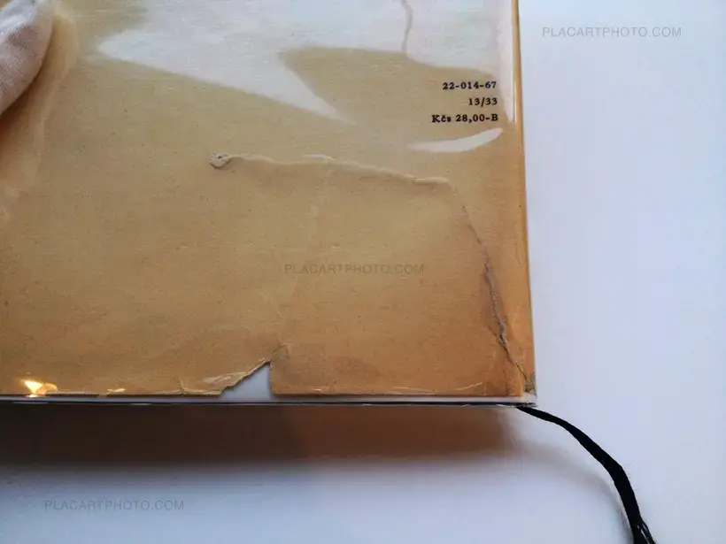 Toto město je ve společné péči obyvatel / This city is under the control of its citizens