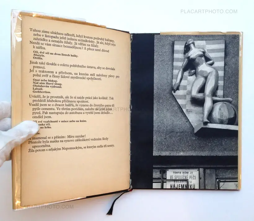 Toto město je ve společné péči obyvatel / This city is under the control of its citizens