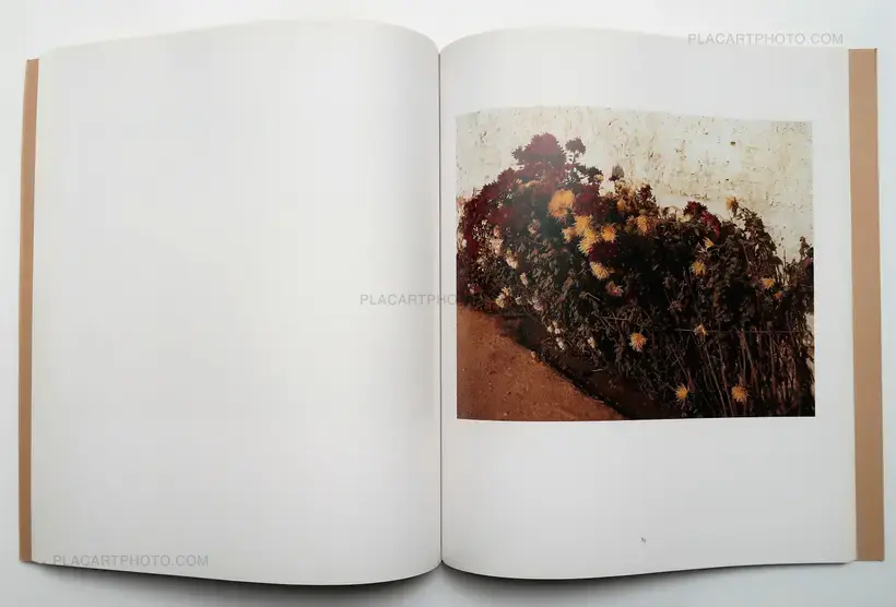 Tableaux 1978-1982 (SIGNED)