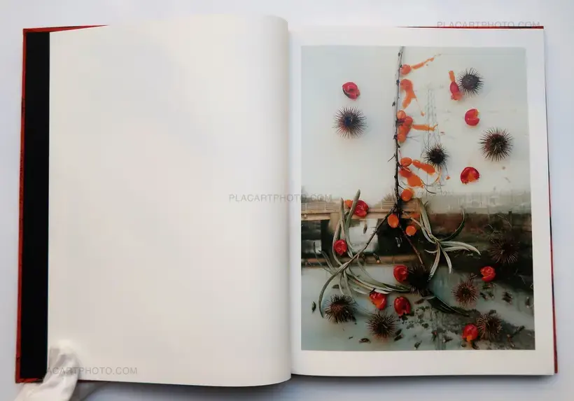 Hackney Flowers (LTD & SIGNED WITH PRINT)