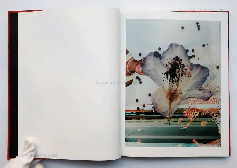 Hackney Flowers (LTD & SIGNED WITH PRINT)