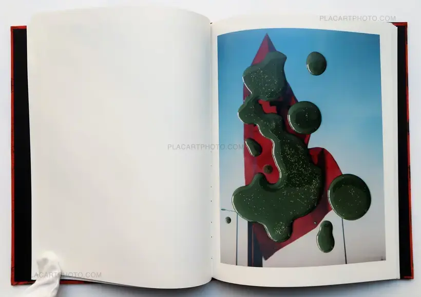 Hackney Flowers (LTD & SIGNED WITH PRINT)