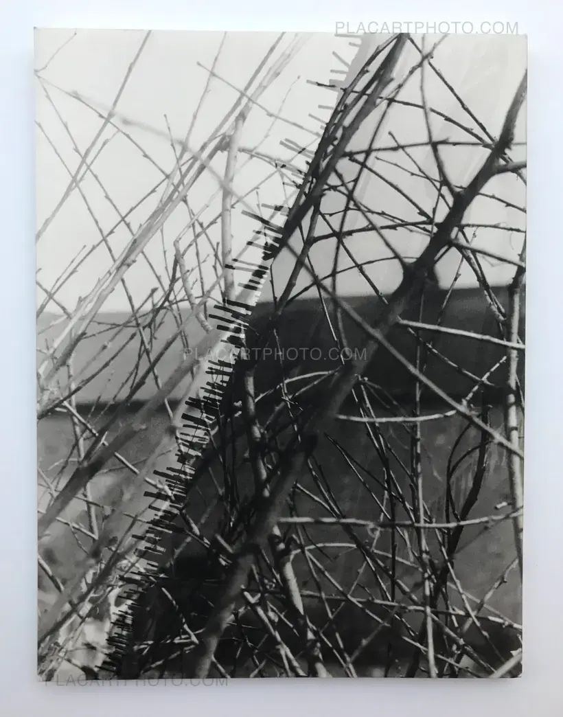 Ci-contre : 110 photos de Moï Wer