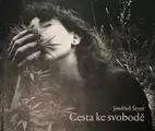 Cesta ke svobodě / The Road towards freedom