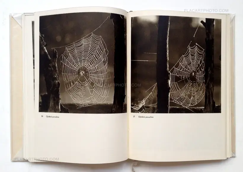 Josef Sudek Fotografie