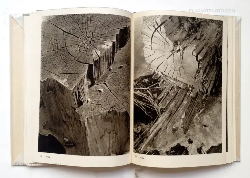 Josef Sudek Fotografie