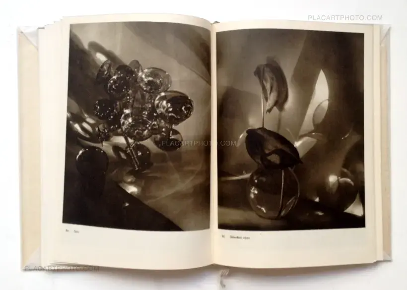 Josef Sudek Fotografie