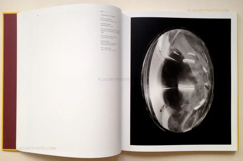 Light Break, Photography / Light Therapy (Signed)