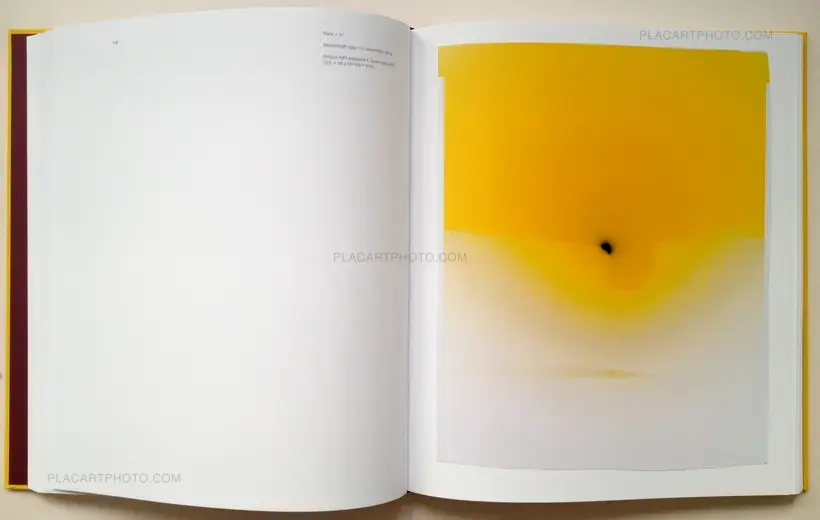 Light Break, Photography / Light Therapy (Signed)