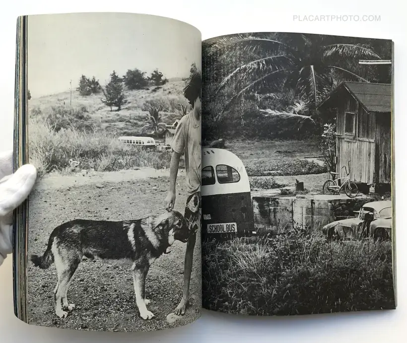 Marie's Seven Days in Molokai