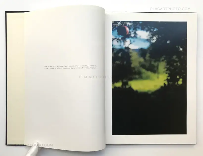 Lana (LTD & SIGNED WITH A PRINT)