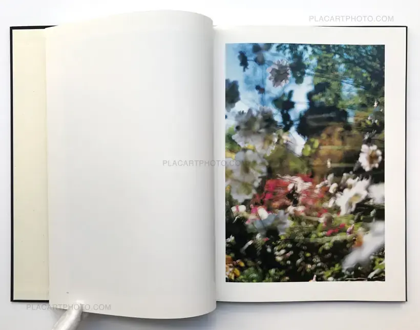 Lana (LTD & SIGNED WITH A PRINT)