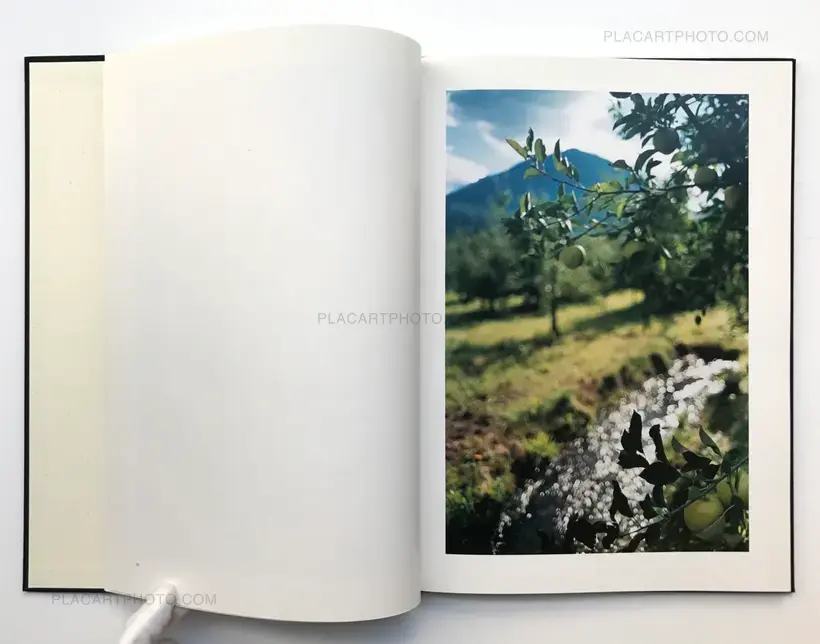 Lana (LTD & SIGNED WITH A PRINT)