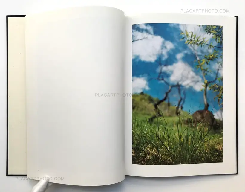 Lana (LTD & SIGNED WITH A PRINT)