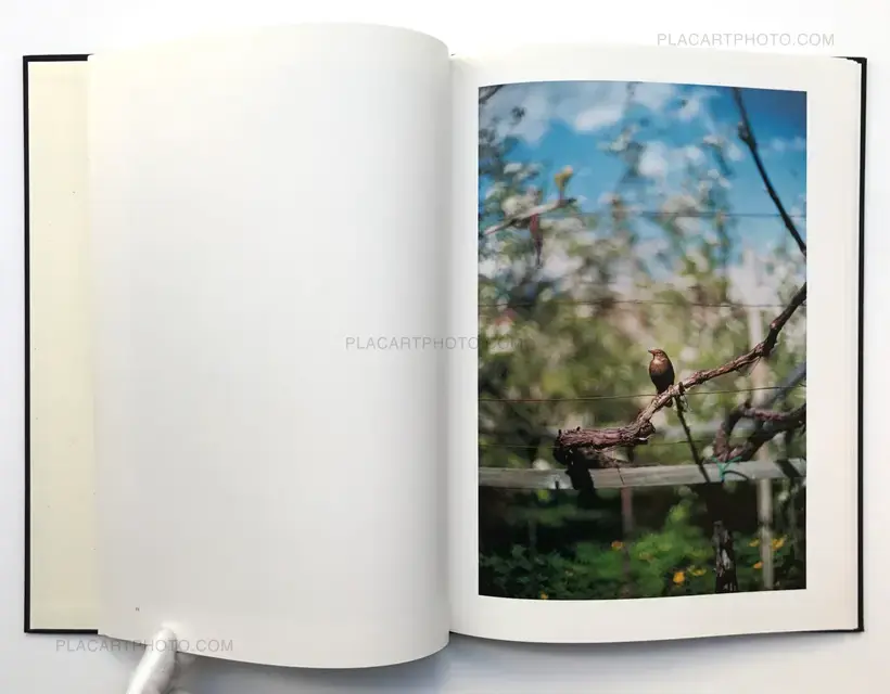 Lana (LTD & SIGNED WITH A PRINT)