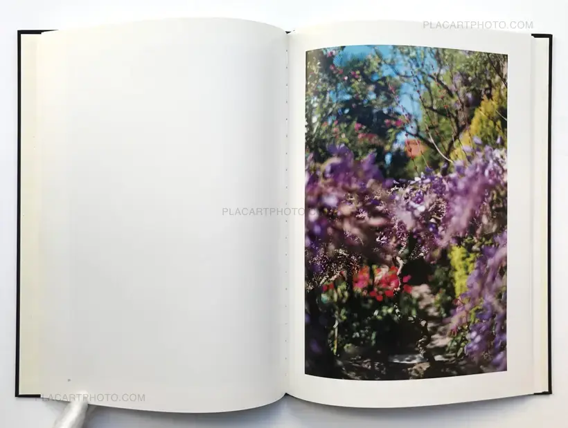 Lana (LTD & SIGNED WITH A PRINT)