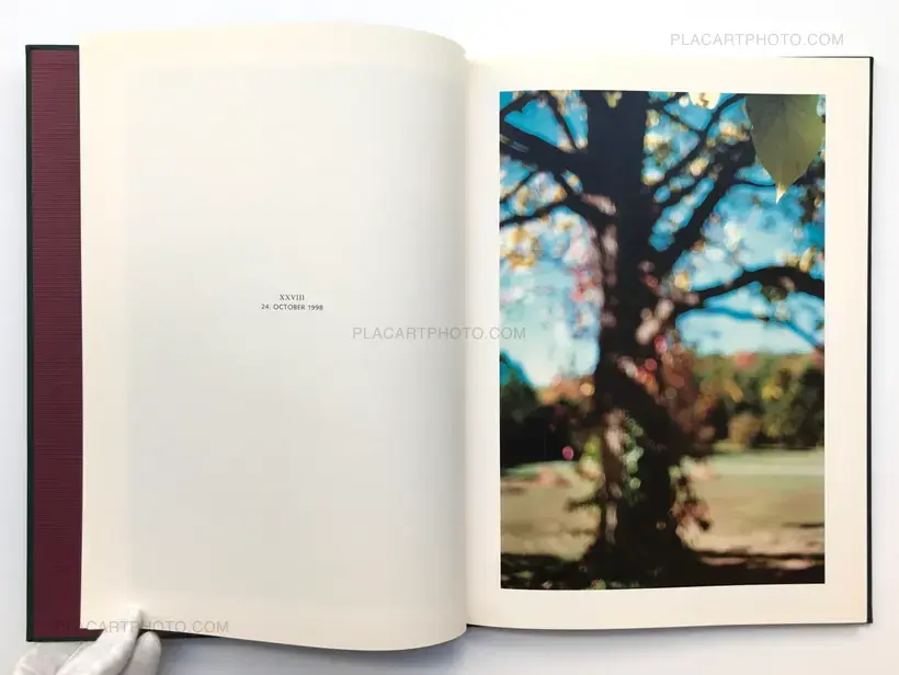 Hunter green (SIGNED)