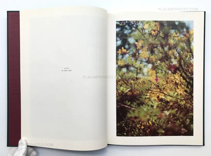 Hunter green (SIGNED)