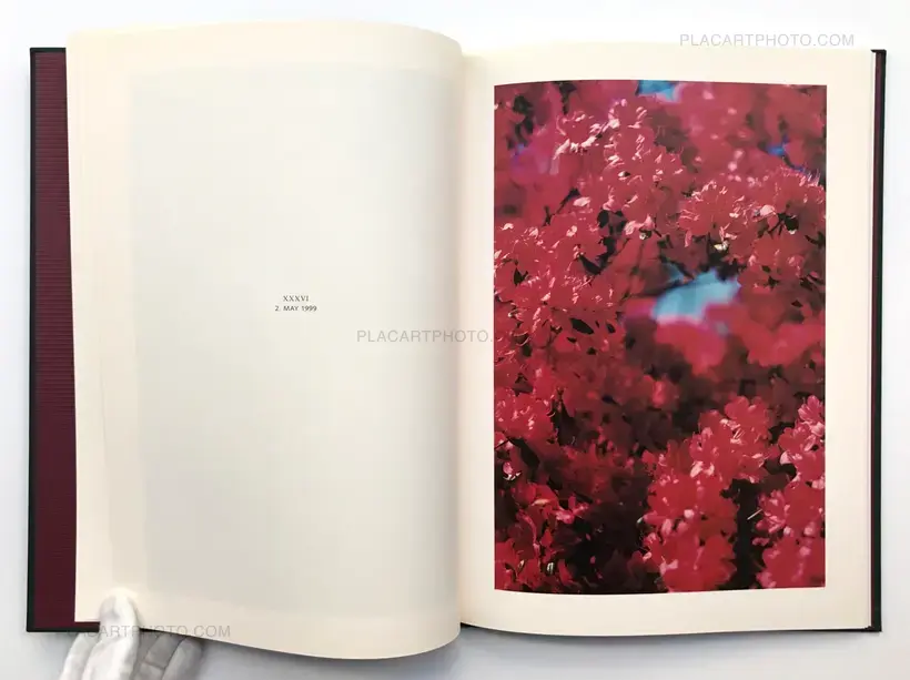 Hunter green (SIGNED)