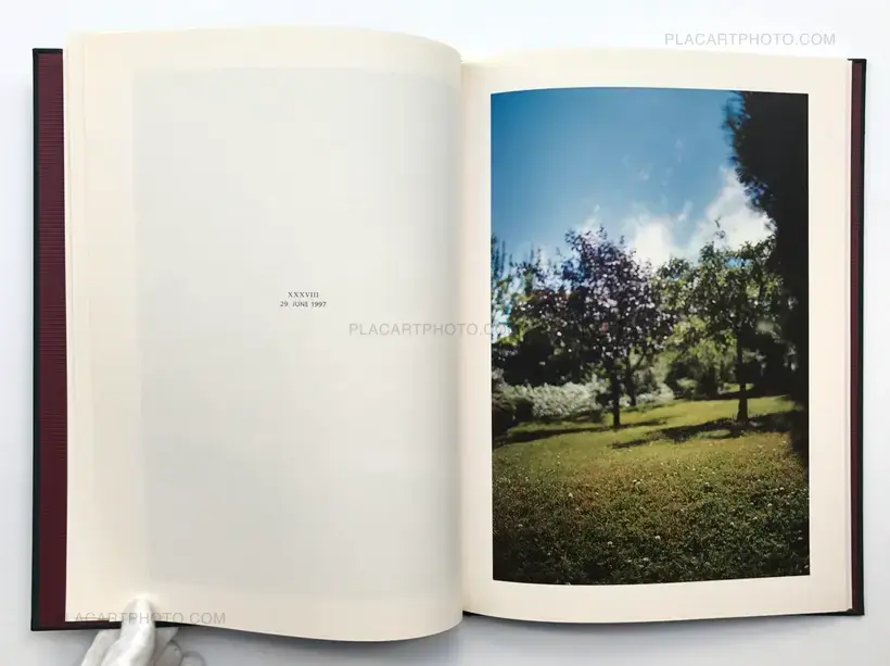 Hunter green (SIGNED)