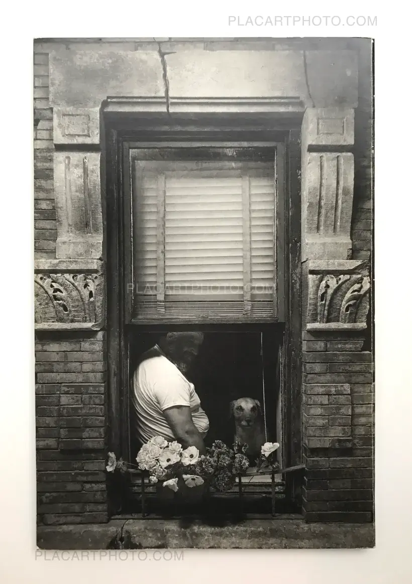 In New York (SET OF 3 VOLUMES)