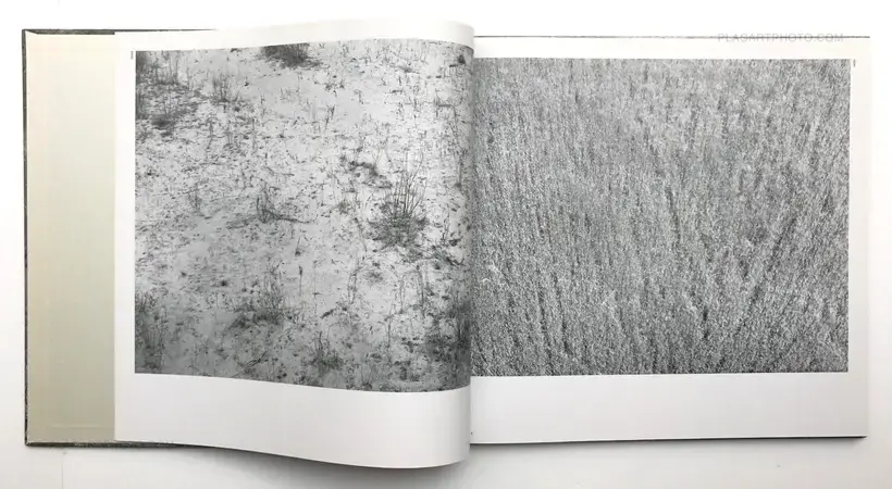 Hysteric Glamour (SIGNED)