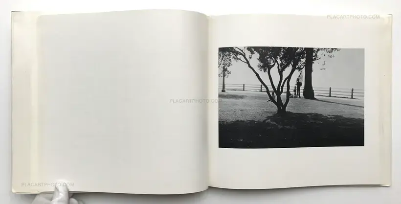 Maybe, maybe (WITH VINTAGE DEDICATION)