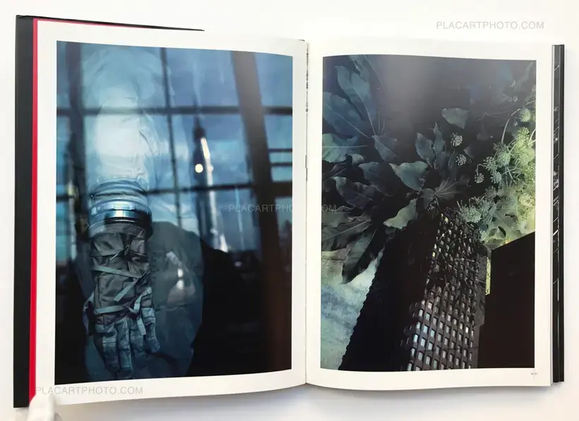 The Globe Theater (SIGNED)