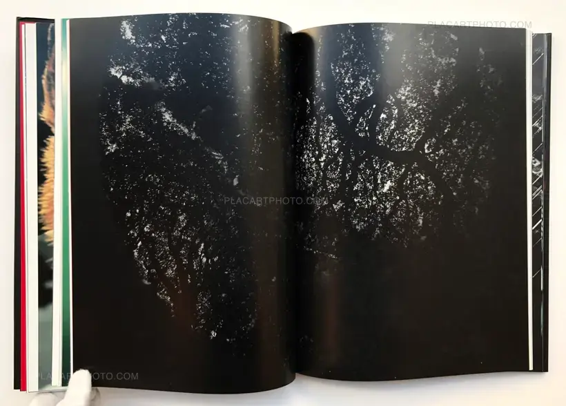 The Globe Theater (SIGNED)