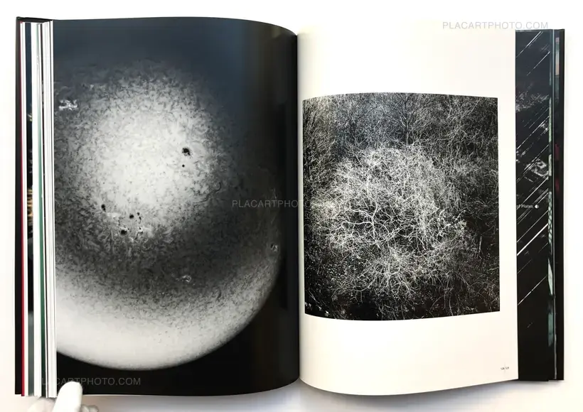 The Globe Theater (SIGNED)