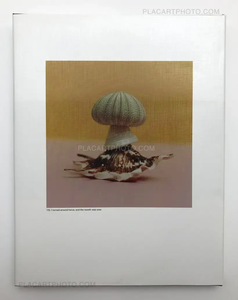 The Mushroom Collector