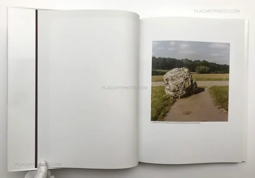 The Mushroom Collector