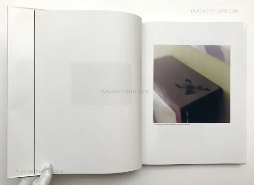 The Mushroom Collector