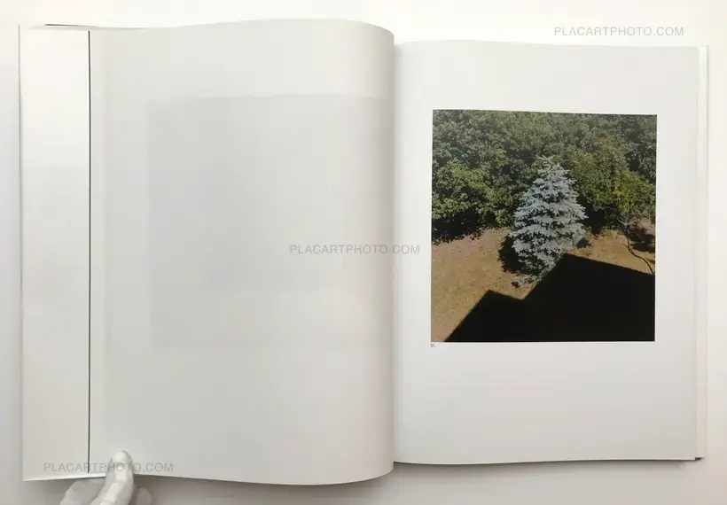 The Mushroom Collector