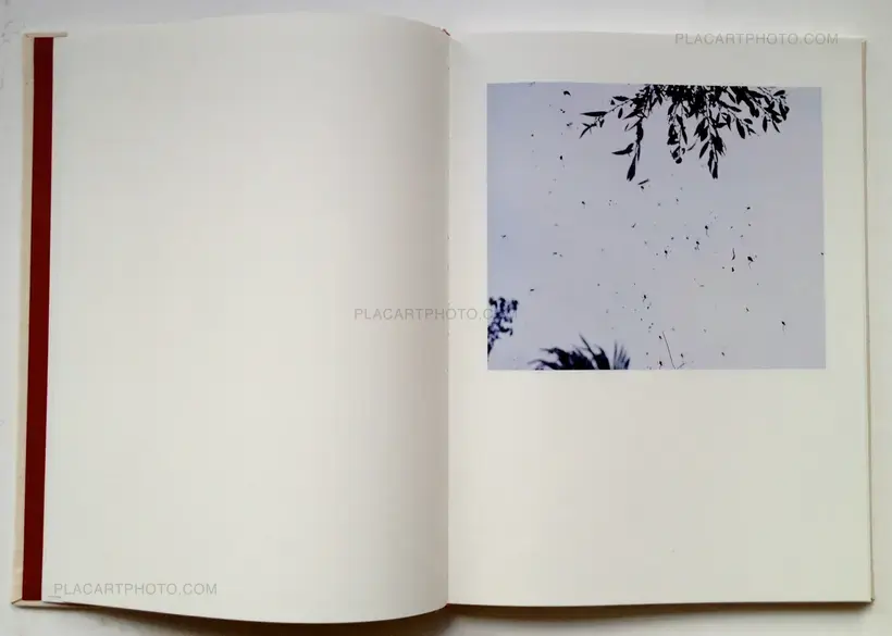 Bees (In shrink-wrapped)