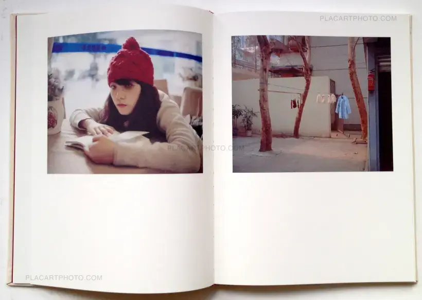 Bees (In shrink-wrapped)