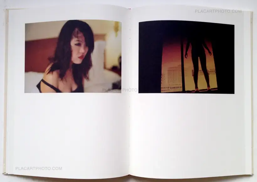 Bees (In shrink-wrapped)