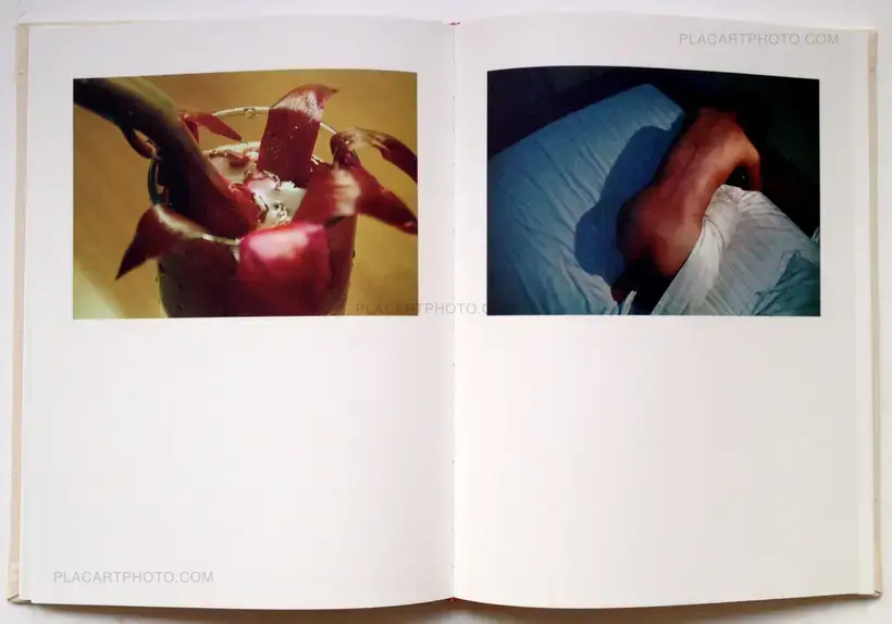 Bees (In shrink-wrapped)