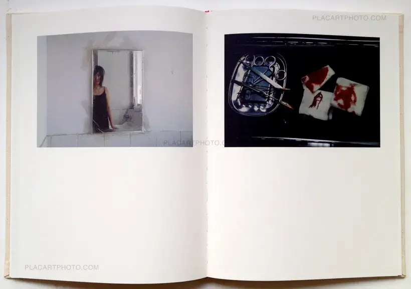 Bees (In shrink-wrapped)